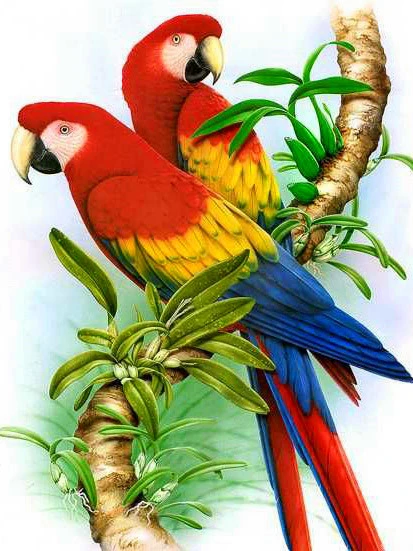 Evershine Diamond Painting Animals Full Square 5D DIY Diamond Embroidery Bird Rhinestones Mosaic Parrot Cross Stitch Home Decor 