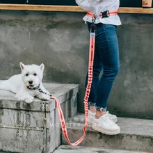  Explosion Proof Free Hands Dog Leash Small-large Dog Leashes Greyhound Corgi Shiba Inu Dog Leads Dog Accessories Dog Supplies 