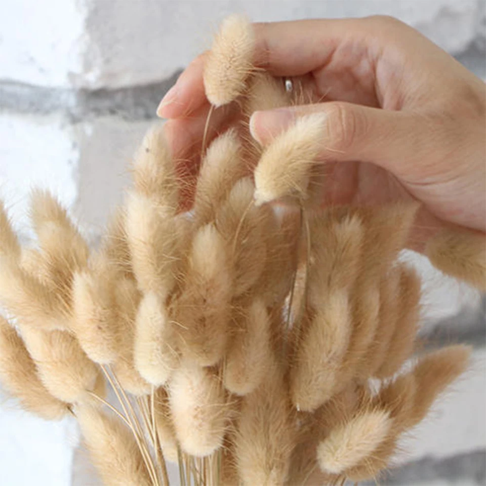 dried natural flower  (12)