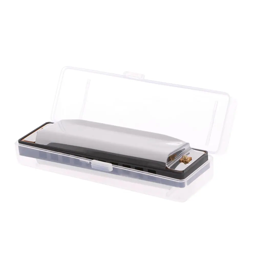 Blues Harmonica 10 Holes Key of C Musical Instrument Stainless Steel with Case