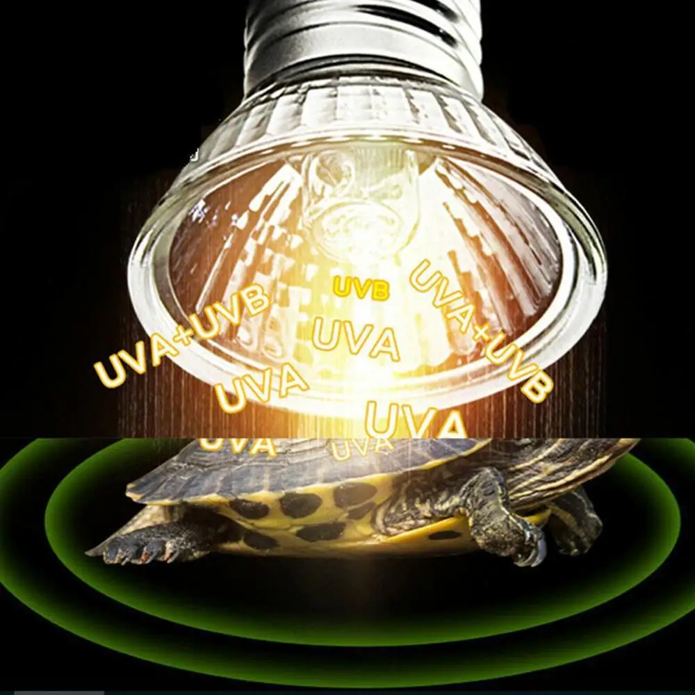 Lámpara para reptiles, bombillas de luz ultravioleta de 25/50/75W, UVA, UVB 3,0, para base de tortuga, lámpara de calefacción para anfibios y lagartos, controlador de temperatura