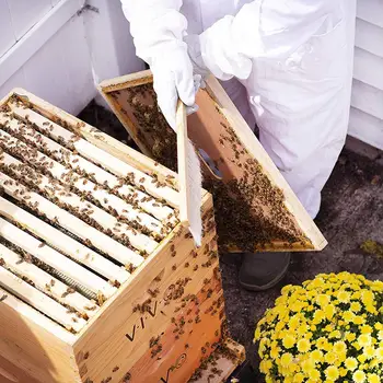 

4pcs Stainless Steel Beekeeping Kit Tools Practical Honey Fork Scraper Bees Smoker Sprayer Necessary Outdoor Beekeeping Gadgets