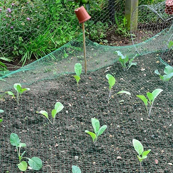 

Green Anti Bird Catcher Netting Pond Net Fishing Net Traps Crops Fruit Tree Vegetables Flower Garden Mesh Protect Pest Control