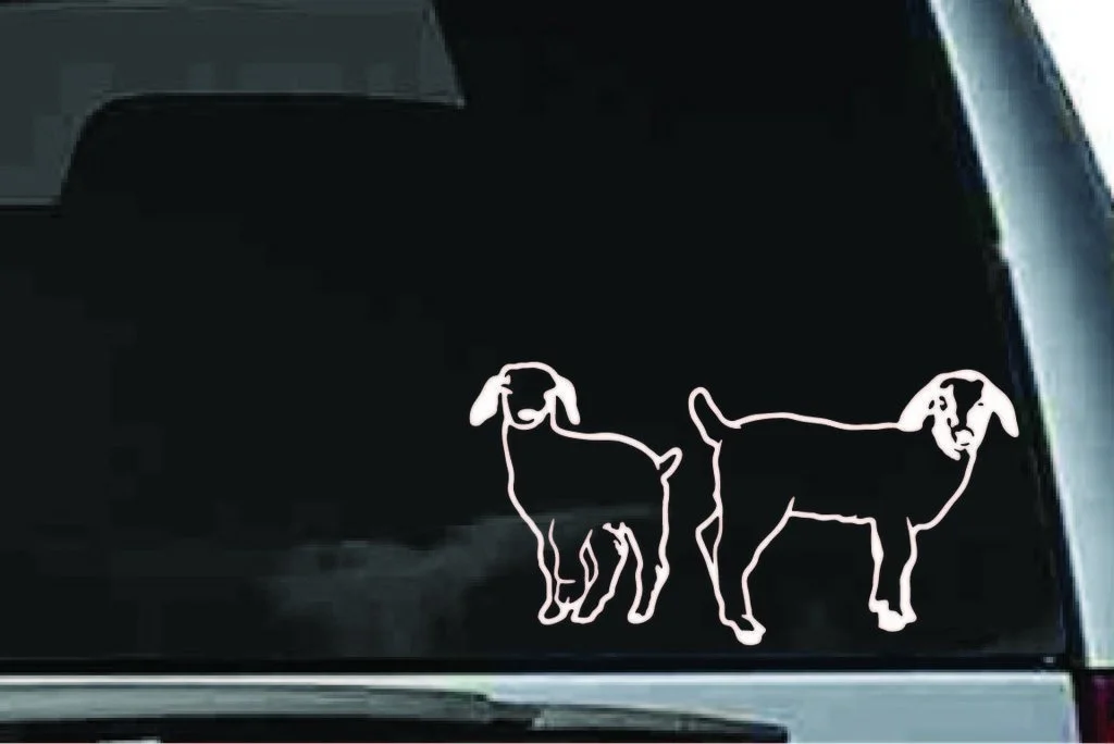 Picniva boer goat sty6computer Vinyl Decal Sticker Laptop window Window Wall Truck Motorcycle | Игрушки и хобби