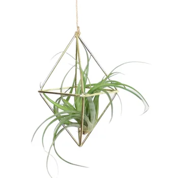 

1PC nging basket Air Plants Rack Metal Geometric Hanging Tillandsia Iron Art Flower Planter Pot Gardening Accessories Home Decor