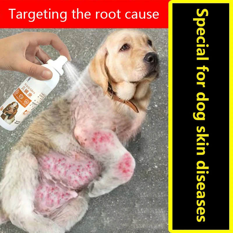 spray for dog skin infection