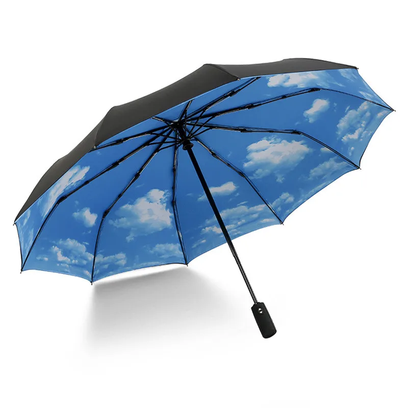 Ветрозащитный Автоматический складной зонтик Женский Мужской десять костей двойной автомобиль Роскошные Большие бизнес зонты мужчины дождь женщины подарок зонтик - Цвет: Bule sky(double)