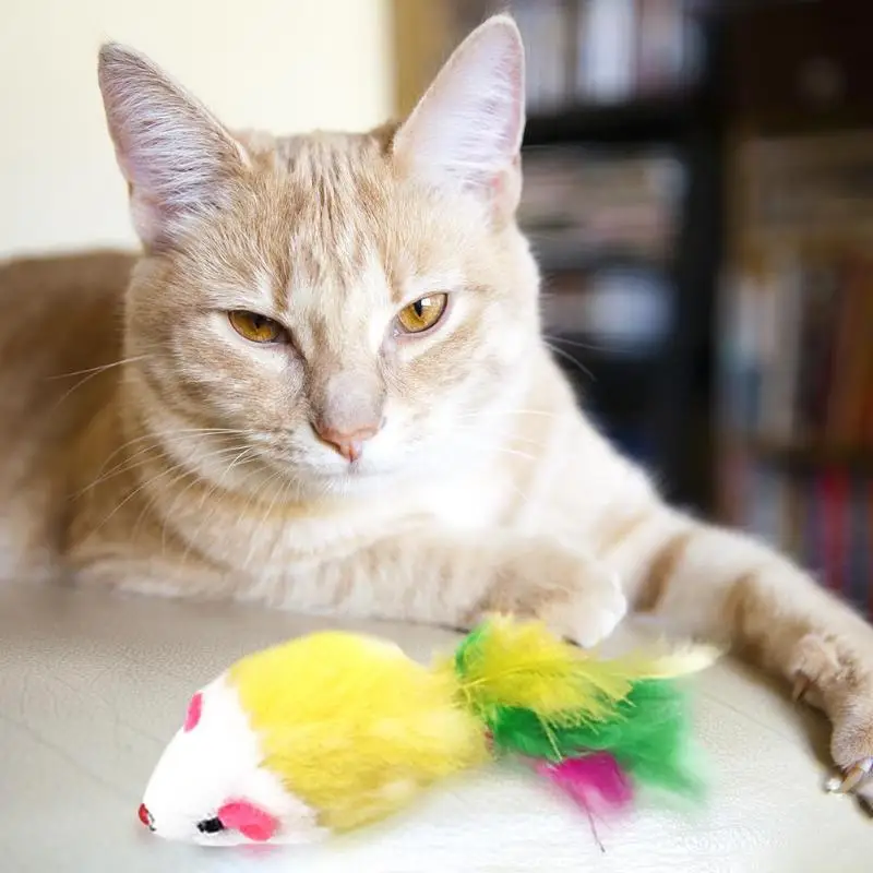 Funny Pet Cat Toy Plush False Mouse Interactive Teaser Toys with Feather