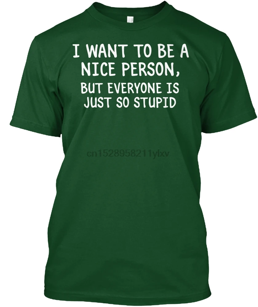 Мужская футболка I Want To Be A Nice Person женские мужские футболки|Футболки| |