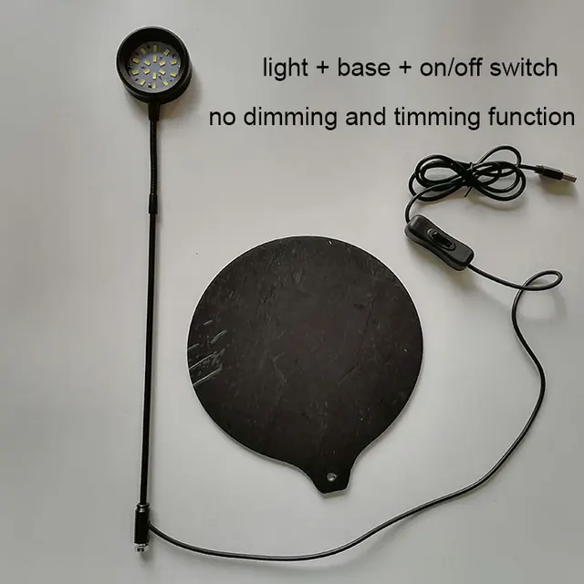 lamp with base