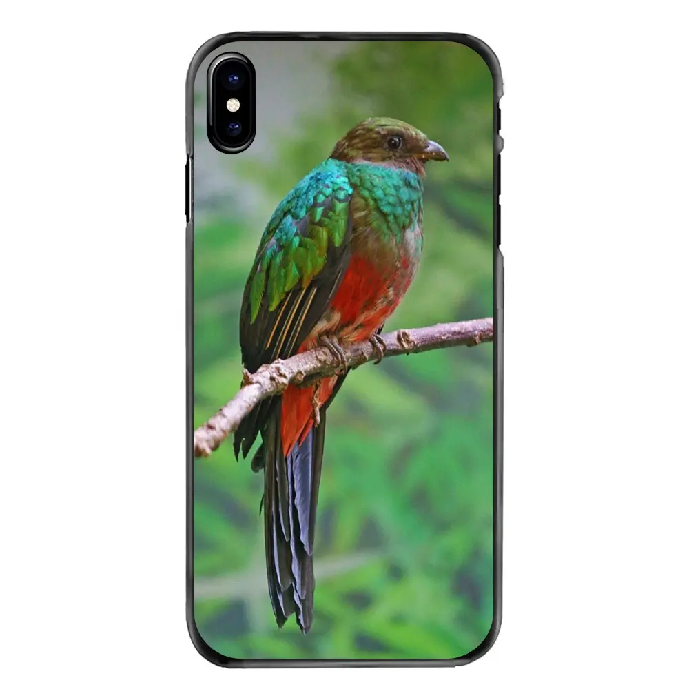 Жесткий черный кожаный чехол для sony Xperia X XA XZ M2 M4 M5 C3 C4 C5 T3 E4 E5 Z Z1 Z2 Z3 Z5 Compact Quetzal Bird