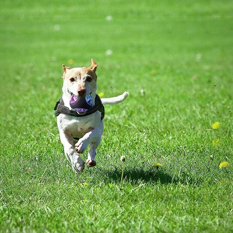 Benepaw Эластичный светодиодный шар для собак, резиновая прочная устойчивая к укусам интерактивная игрушка для собак, маленькие большие домашние животные, безопасная звуковая пищалка