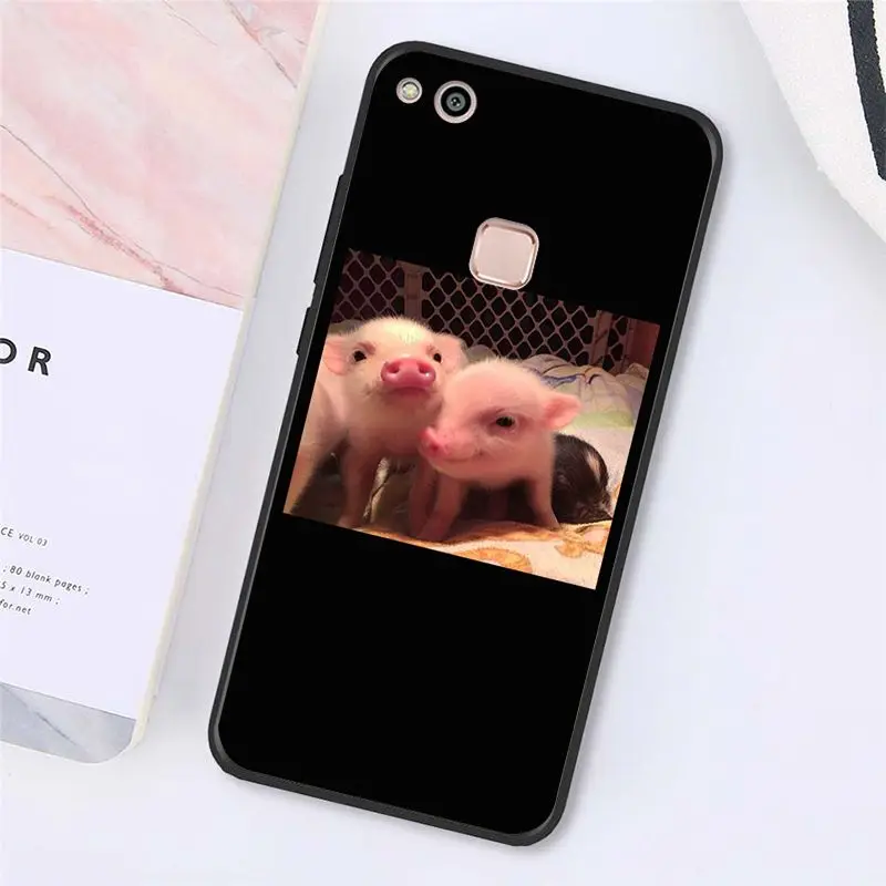 Cute Little Pink Pet Pig