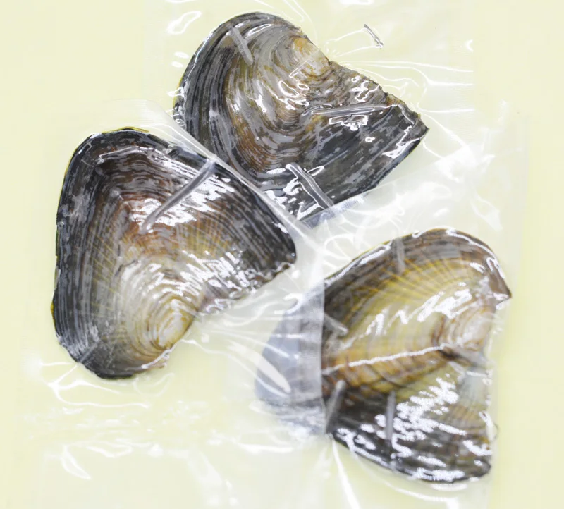

100PCS Vacuum packaging Oyster + 100PCS exquisite. Mixed pendant. +100PCS chain.Best gift