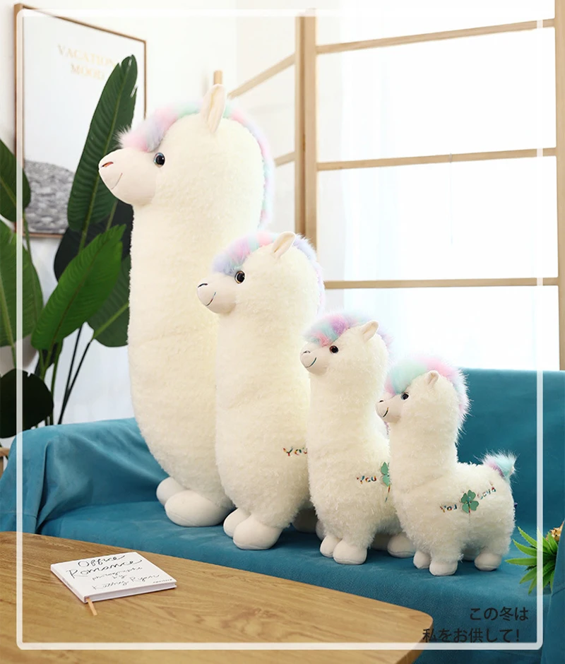 12087991879_457482698