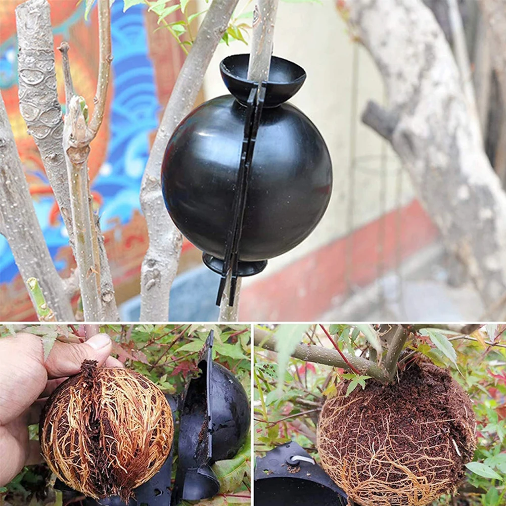 식물 발근 장비 공기 겹침 고압 전파 공 이식 상자, 정원 이식 상자 묘목용 번식 케이스, 5 개