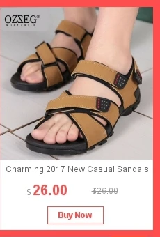 dianxiaobao