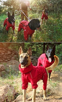 Waterproof/ Winter Warm Outdoor Coat 9
