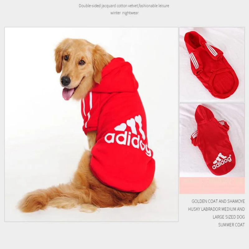 QQ截图20200827120157