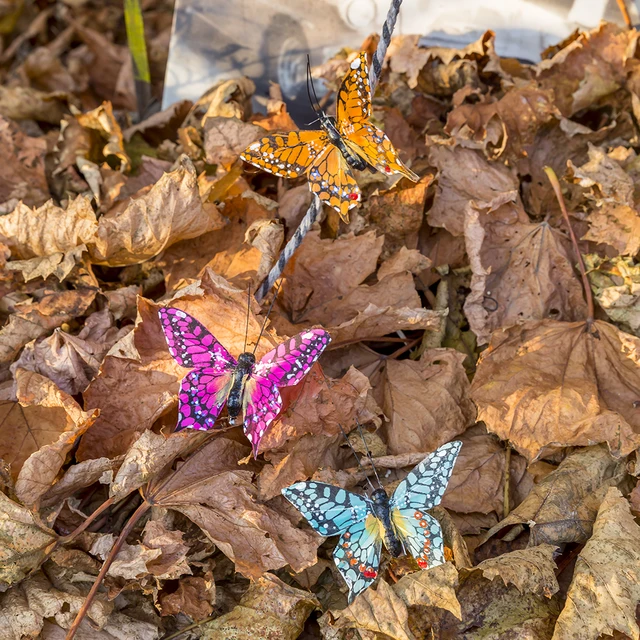 Csimuláció Festett Tollak Pillangók Dekorációs Halom Teraszdekoráció És Ilyesmi - Image 5