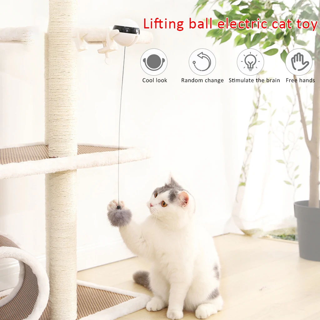motion ball cat toy