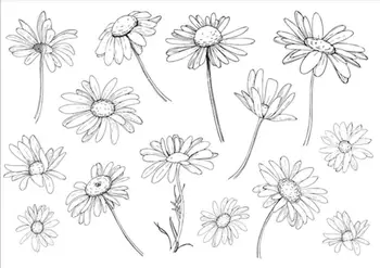 

daisy Clear Stamp Or stamp for DIY Scrapbooking/Card Making/Kids Fun Decoration Supplies A2215