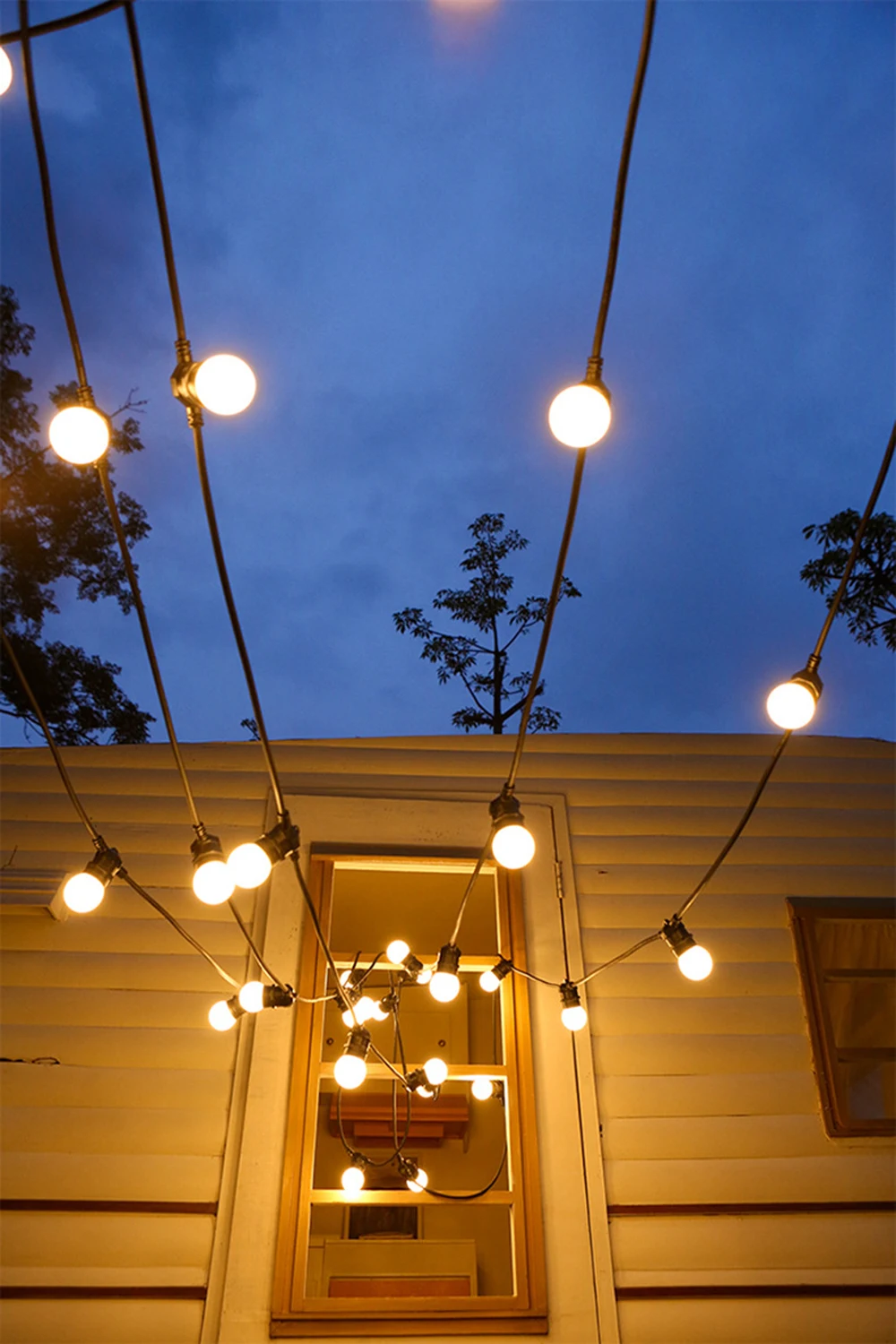 11597762816_1998118617