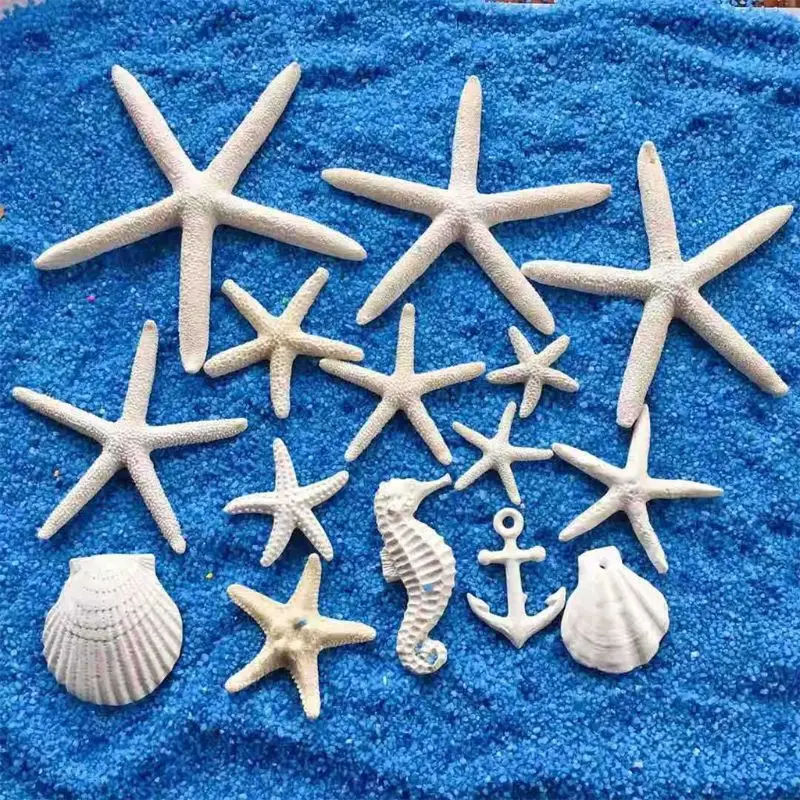 Белая Морская звезда аквариум украшение песок долларов смешанный океан