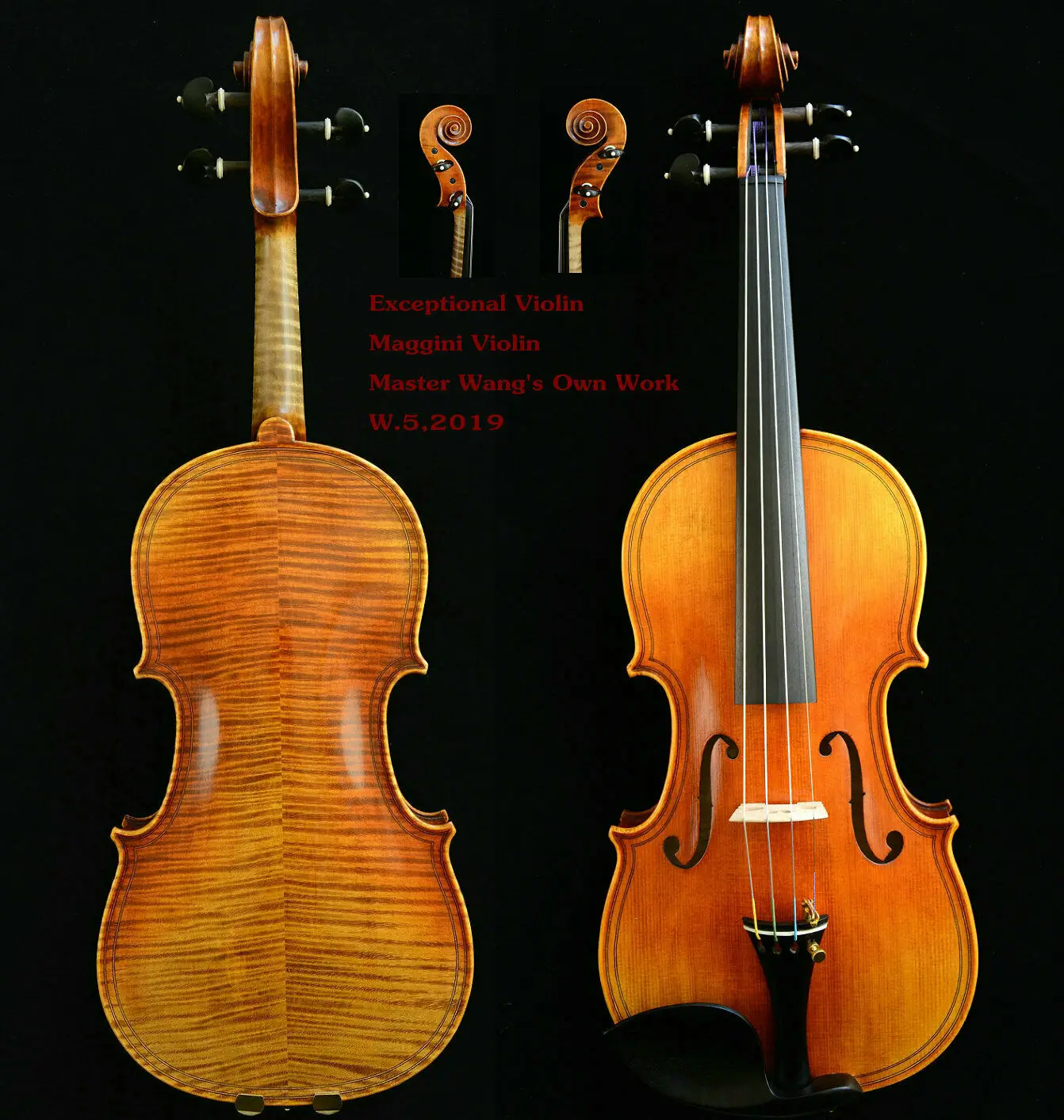 

ACTUAL VIOLIN Outstanding Sounding Violin! Maggini Violin Model!Rare!200-y Old Spruce No.W5 ACTUAL VIOLIN