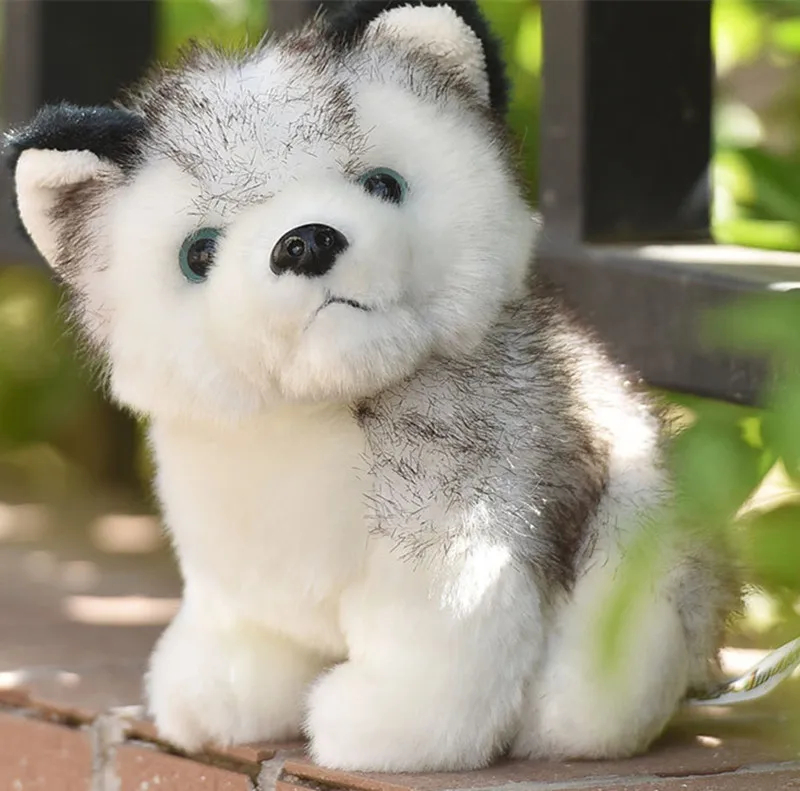 11394720051_1689262947_副本