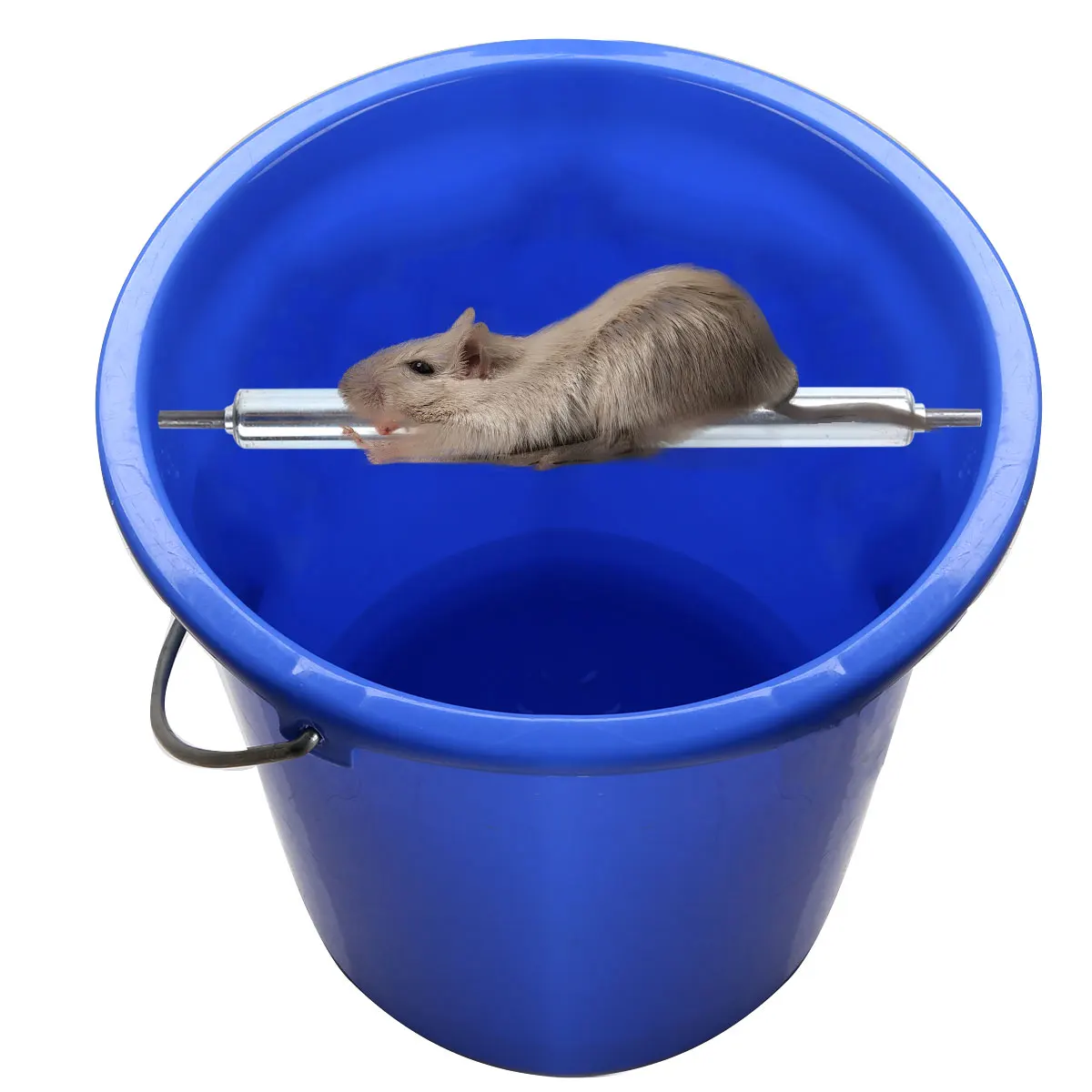 Piège à Rat Fait Maison Avec Un Seau Pièges à souris automatique pour maison, attrape rat avec bâton roulant en  acier inoxydable | AliExpress