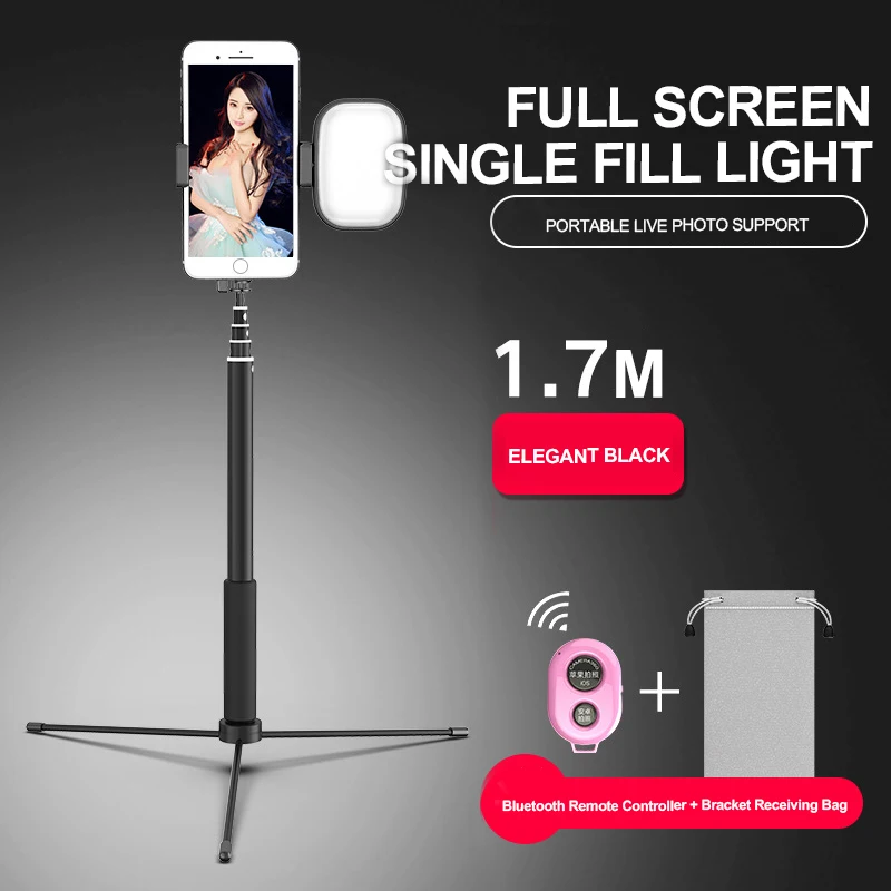 1 Fill Light Розовая селфи-палка светодиодный светильник Bluetooth селфи-Палка Поддержка дистанционного управления штатив для улицы Черный регулируемый штатив - Цвет: 1 Fill Light