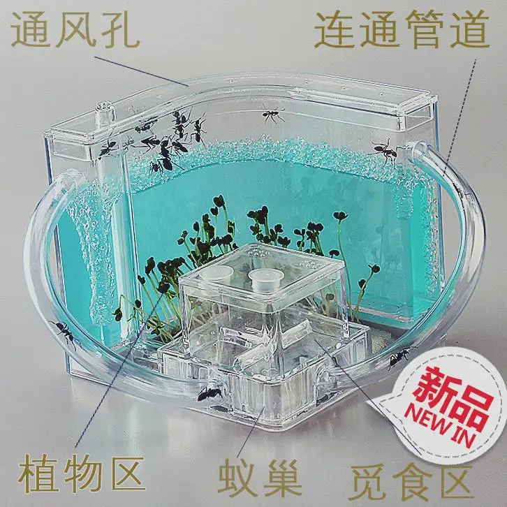 

Castle Workshop Maze Raise Pet Small Castle Nest Ant Studio Colorful Box Children Gift Toy Send Ant Interest