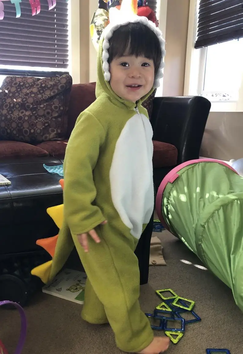 Dinosaur Jumpsuit Hoodie for Baby Toddler Onesie Kids Animal Dinosaur Costume Dinosaur Jumpsuit Hoodie for Baby Toddler Onesie Kids Animal Dinosaur Costume