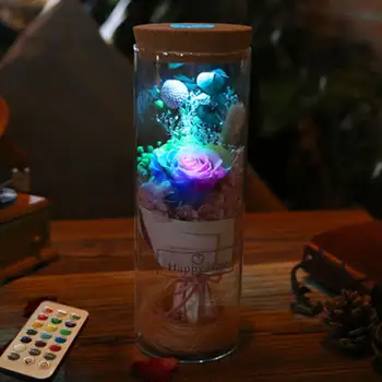 

Night Lamp Ecology Bottle Light Romantic NEW Straight Glass Transparent 10*8*8cm Gifts Luminous Micro Landscape Room Decoration