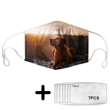 

Cute Alone Dogs Print Kids Mask with PM2.5 Filters Mouth Masks for Children Breathable Face Protection Custom Animals Pattern