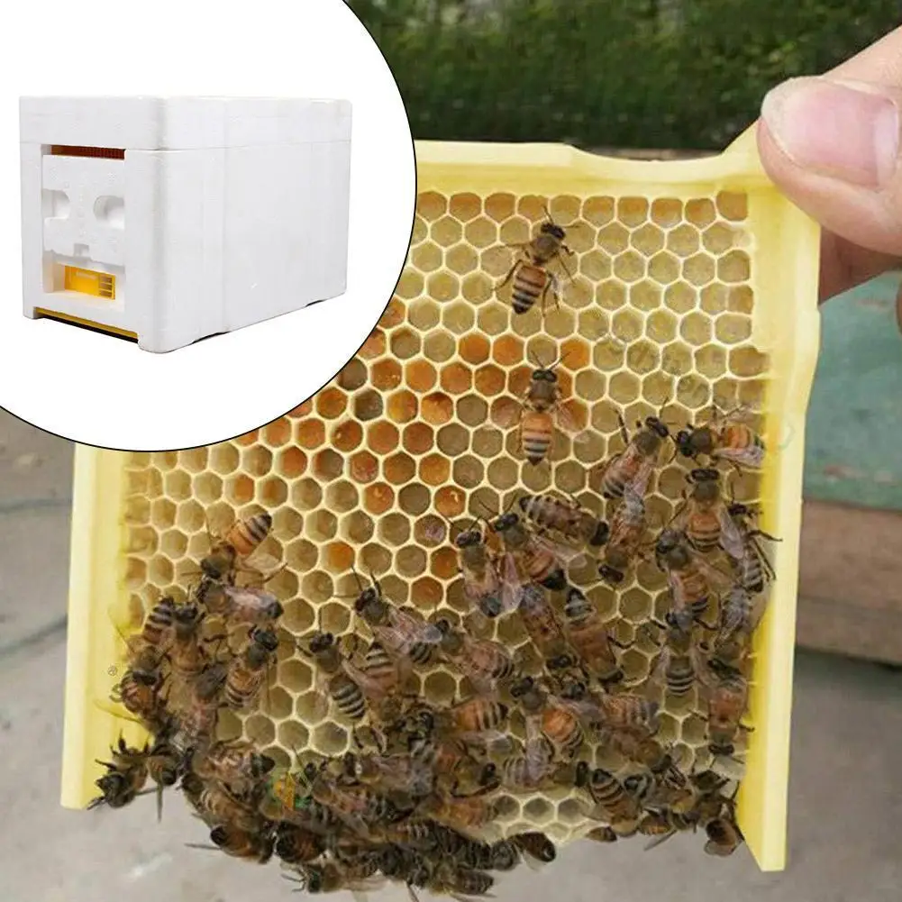 

Home Hive Box Harvest Bee Hive Beekeeping King Box Tool Solid Beekeeping Hive EPS Box cedar Harvest Pollination Bee W5U2