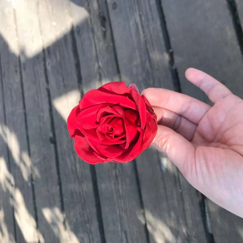 Вечные розы головы, настоящий Натуральный Свежий консервированный розы, Красавица и Чудовище навсегда розы, бессмертный цветок материал красный