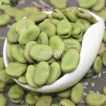 

Prodgf 300Pcs A Set Vicia faba