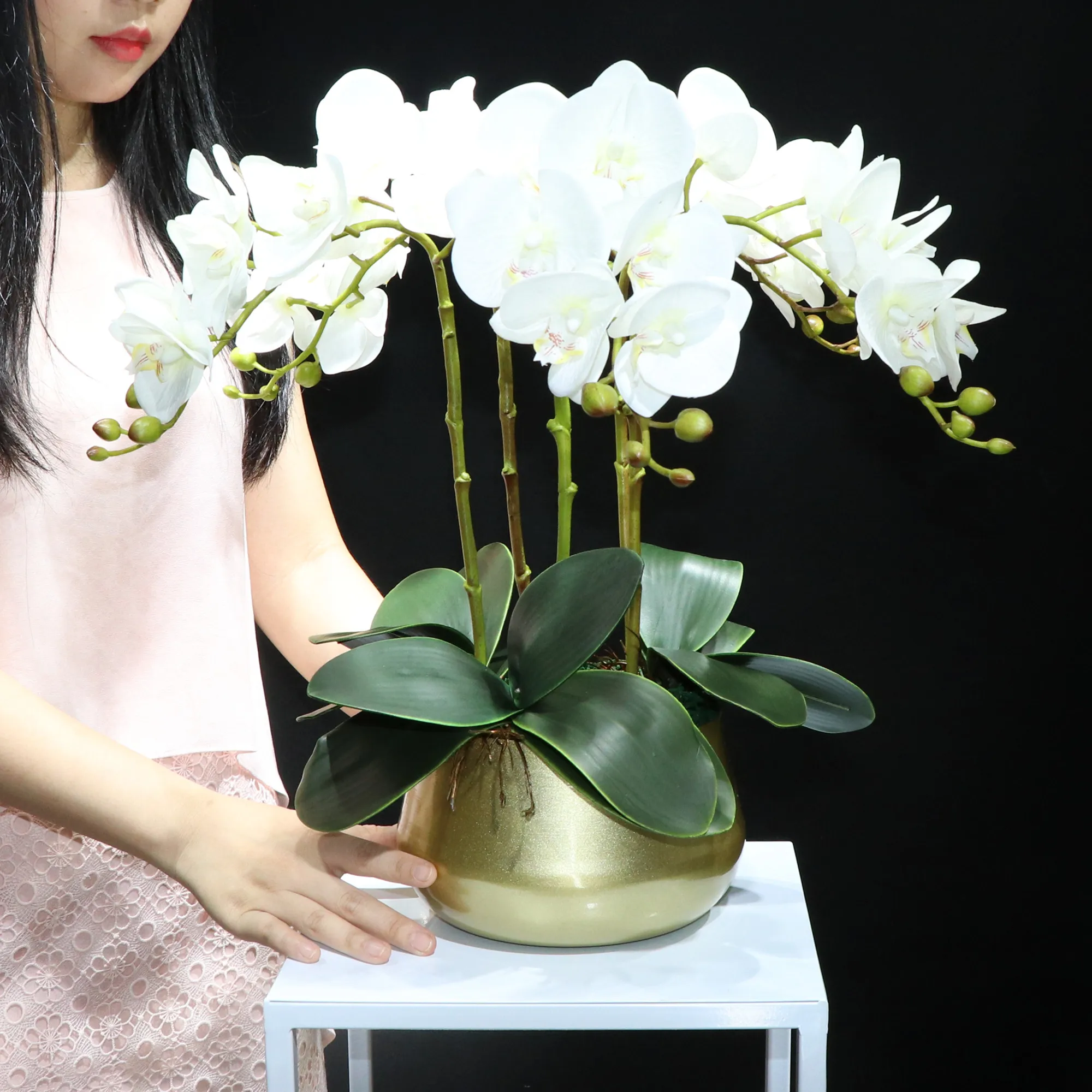 Yellow Moth Orchid DIY Flower Arrangment (5pcs Orchid+3Pcs Leaves+ Pot) Phalaenopsis Decoration Event Table Centerpiece - INDIGO