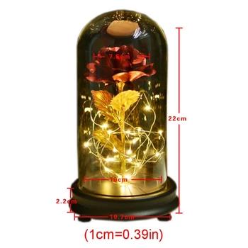 

Gold Foil Rose Flower Glass Cover Preserved Flowers LED Light Creative Ornaments 67JB