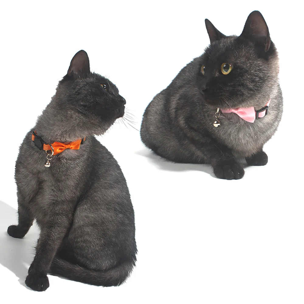 

Pet Collar Tie Adjustable Size Suitable For Cats And Small Dogs Pet Supplies Cat Tie Seat Belt Buckle Pet Accessories