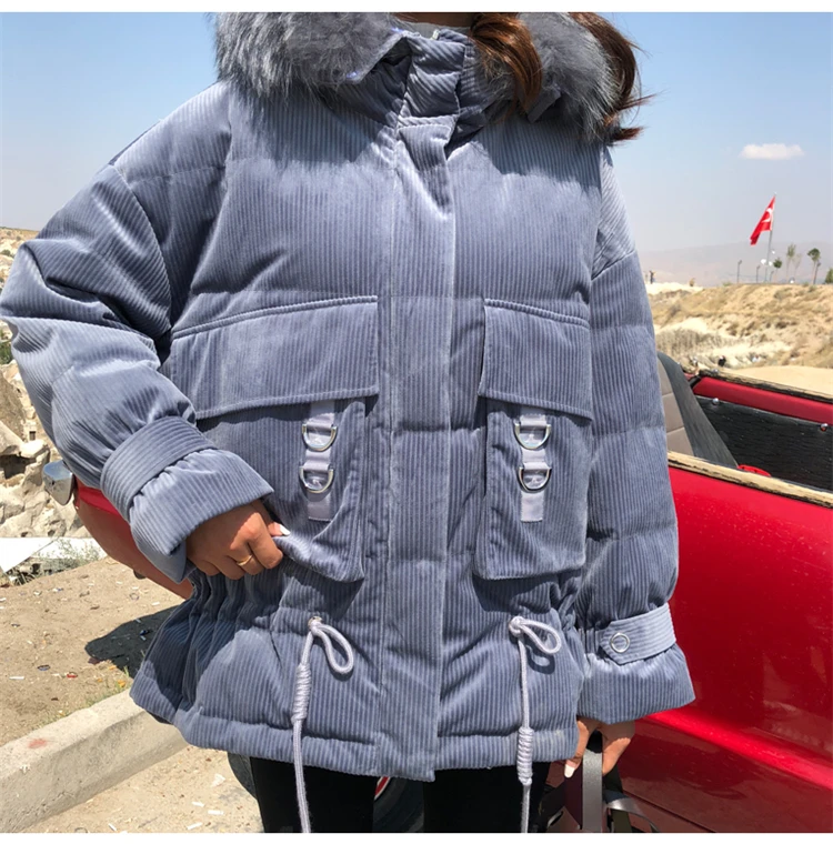 High-Quality-2018-Winter-New-Collection-Women-Hooded-Long-Down-Coat-Female-Winter-Warm-Thick-Down