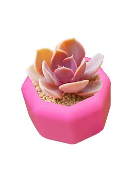 

DIY Silicone Mold Set Cement Concrete Mixing Cutter Measuring Cup Succulent Flower Pot Silicone Mold Set