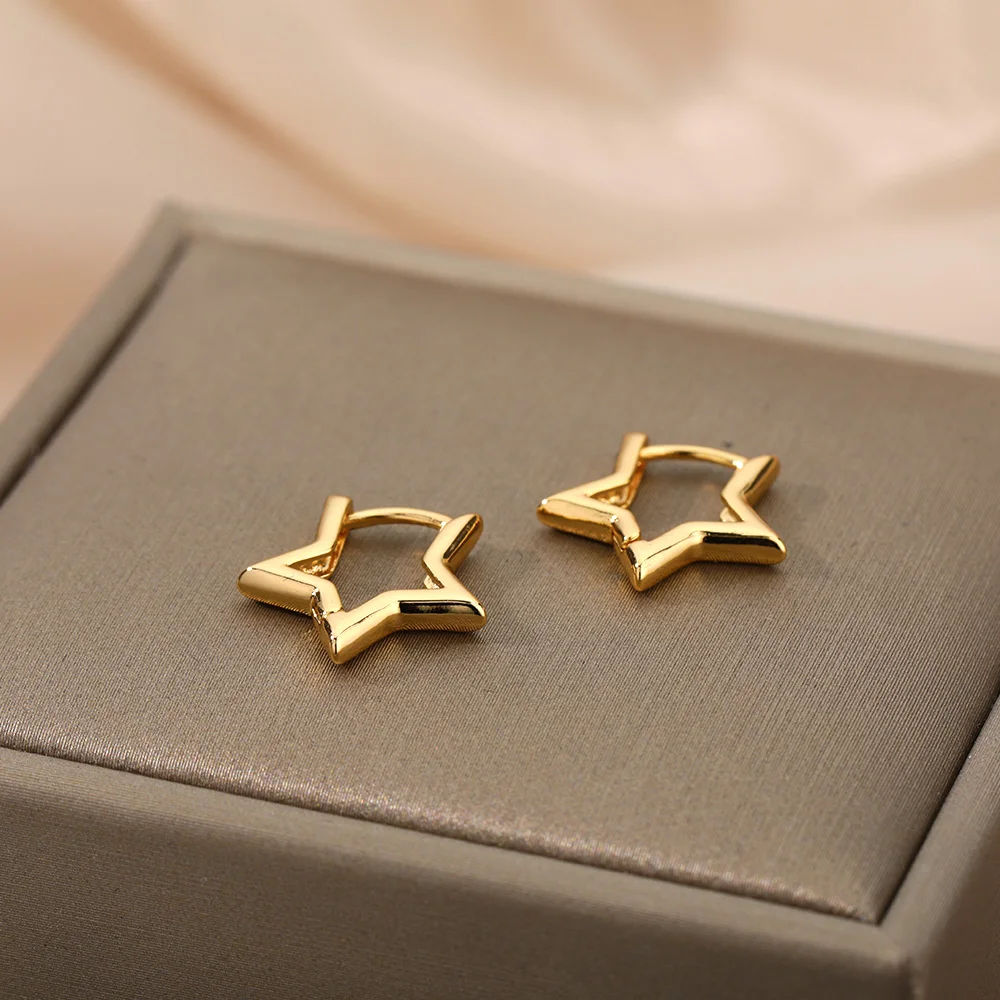 For Women Stainless Steel Jewelry Gift Accessories Brincos
