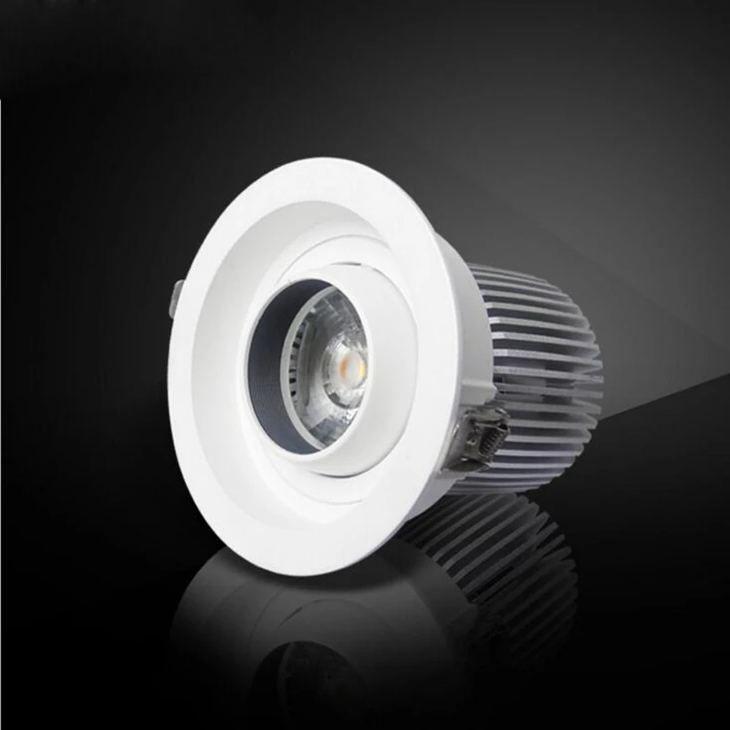 

20pcs/lot Round Led Downlight Double Warm White Cold White 12W 15W 20W COB LED Down Light, Embedded Cattle Eye Lamp AC90-265V