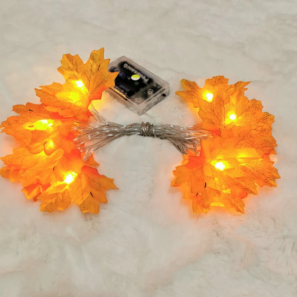 11646088228_1099349780