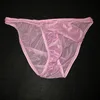 High-end Gay Men Underwear Transparent Lyca Fabric Underwear Male Cool Sexy Elephant Nose Big Pouch Briefs 1