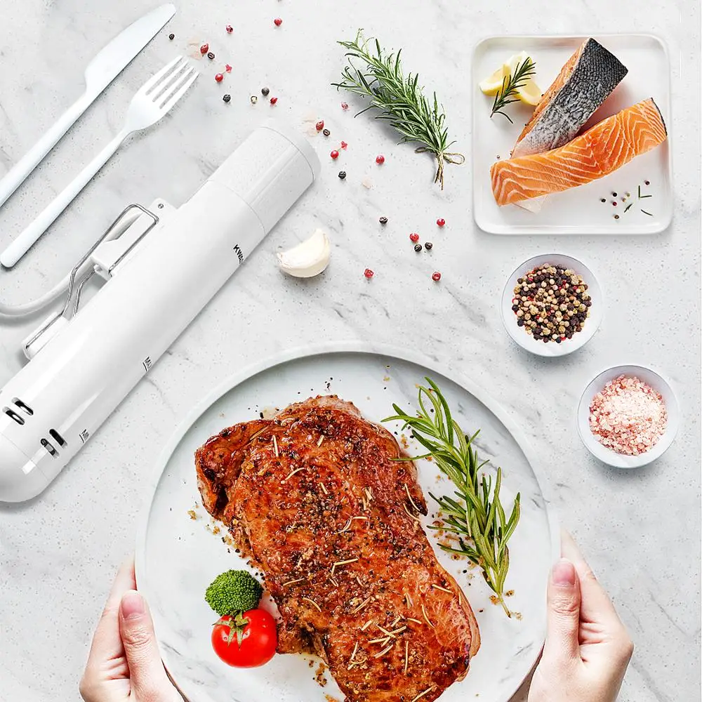 Kwaxio Медленная Плита вакуумная Slow Sous Vide плита для готовки 1000 Вт Мощный погружной