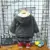 INS hot Baby boys Jackets 0-5 year old Korean solid color stitching большой карман осенне-зимняя куртка с капюшоном для мальчиков тренч
